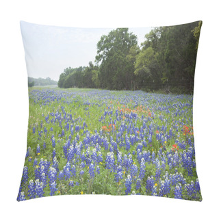 Personality  Bluebonnets And Indian Paintbrush Flowers Along Texas Hill Count Pillow Covers