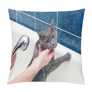 Personality  Bathing A Gray Cat In The Bathroom Pillow Covers