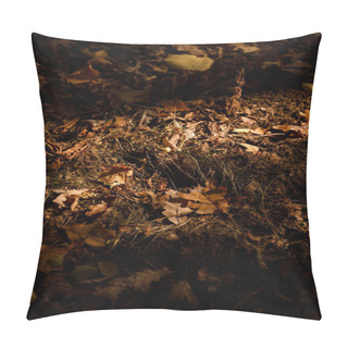Personality  Yellow And Dry Leaves In Autumnal Park At Day  Pillow Covers