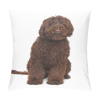 Personality  Brown Labradoodle Pillow Covers