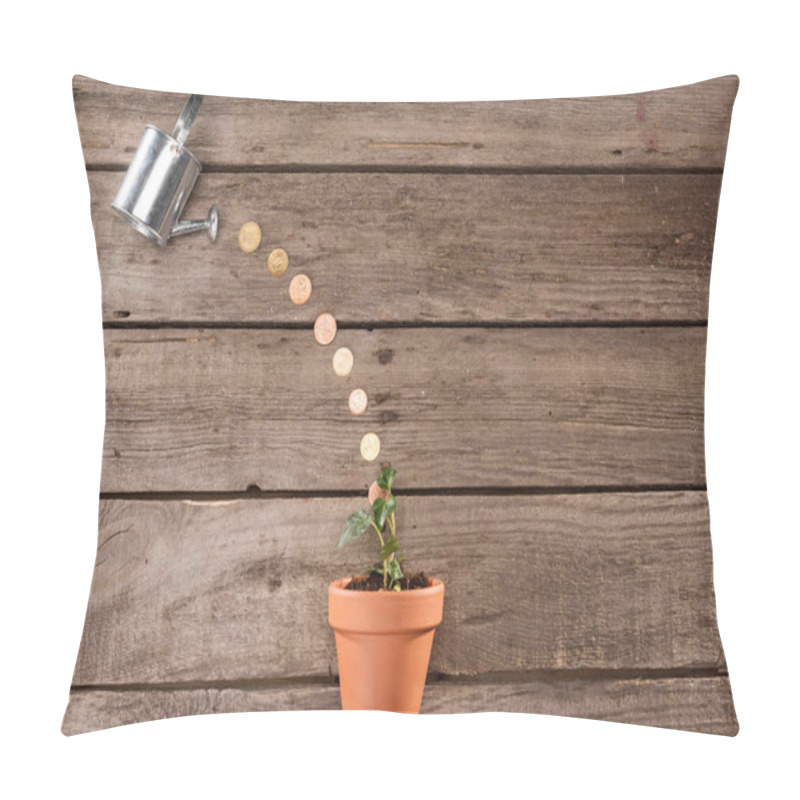 Personality  Coins Pouring From Watering Can Pillow Covers