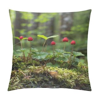 Personality  Close-up Of Wild Berries In The Forest, Texture Focus With High Detail On The Surface And Natural Roughness, Vibrant Reds Against Green Foliage Pillow Covers