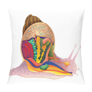 Personality  Snail Pillow Covers