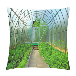 Personality  Vegetable Greenhouses Made Of Transparent Polycarbonate Pillow Covers