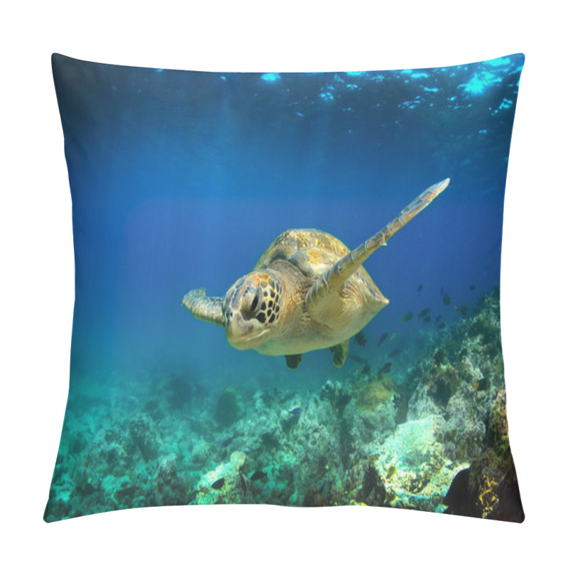 Personality  Green sea turtle swimming underwater pillow covers