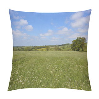 Personality  Traditional Hay Meadow Pillow Covers