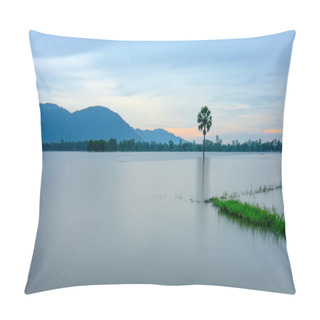 Personality  Path Lonely Palm Tree Between Flooded Fields Like A Still Lake On Floating Season In Rural Vietnam Pillow Covers