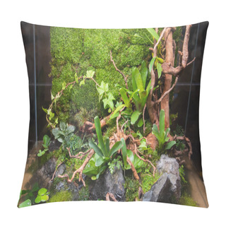 Personality  Garden With Rock And Driftwood In Glass Container. Pillow Covers