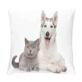 Personality  Cat And Dog Together On A White Background Pillow Covers