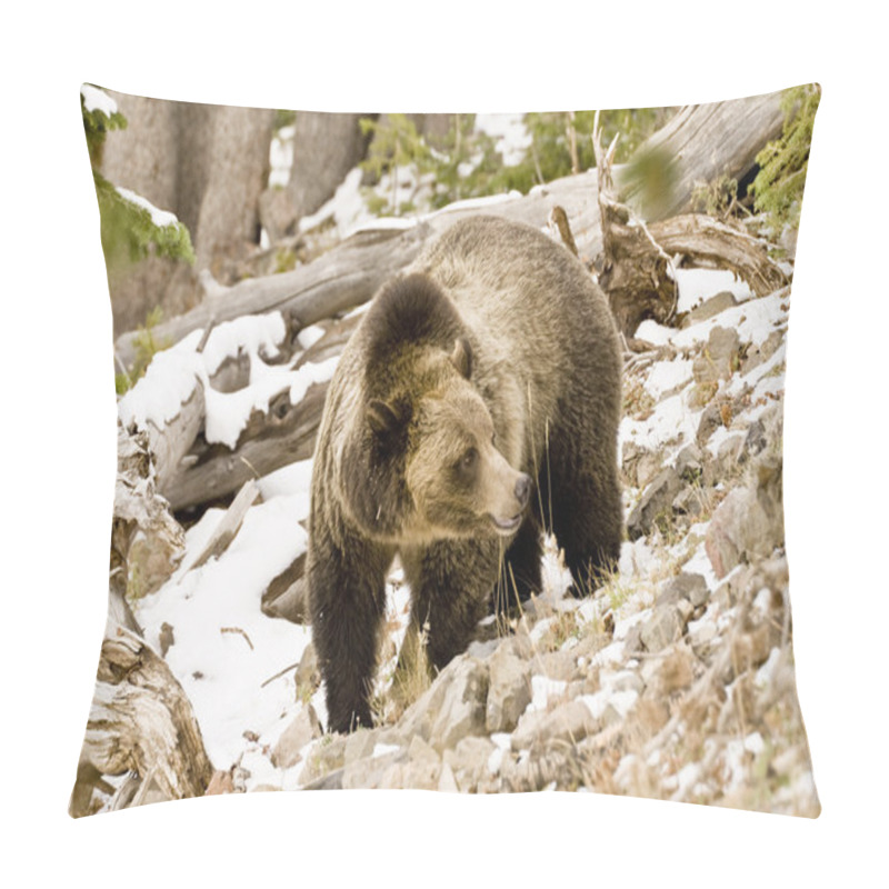 Personality  Grizzly Bear Pillow Covers