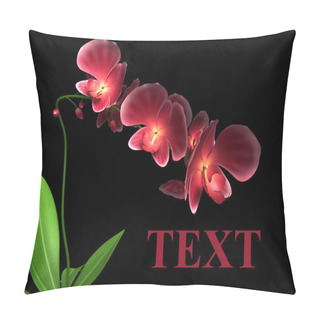 Personality  Red Orchid On A Black Background Pillow Covers