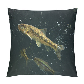 Personality  Wild Gudgeon And Spirlin Pillow Covers