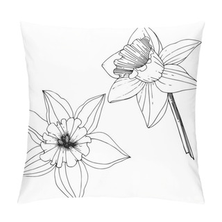 Personality  Vector Narcissus Flowers. Black And White Engraved Ink Art. Isolated Daffodils Illustration Element On White Background. Pillow Covers