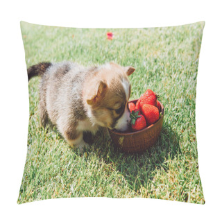 Personality  Cute Fluffy Puppy Eating Ripe Strawberries From Bowl On Green Grass Pillow Covers