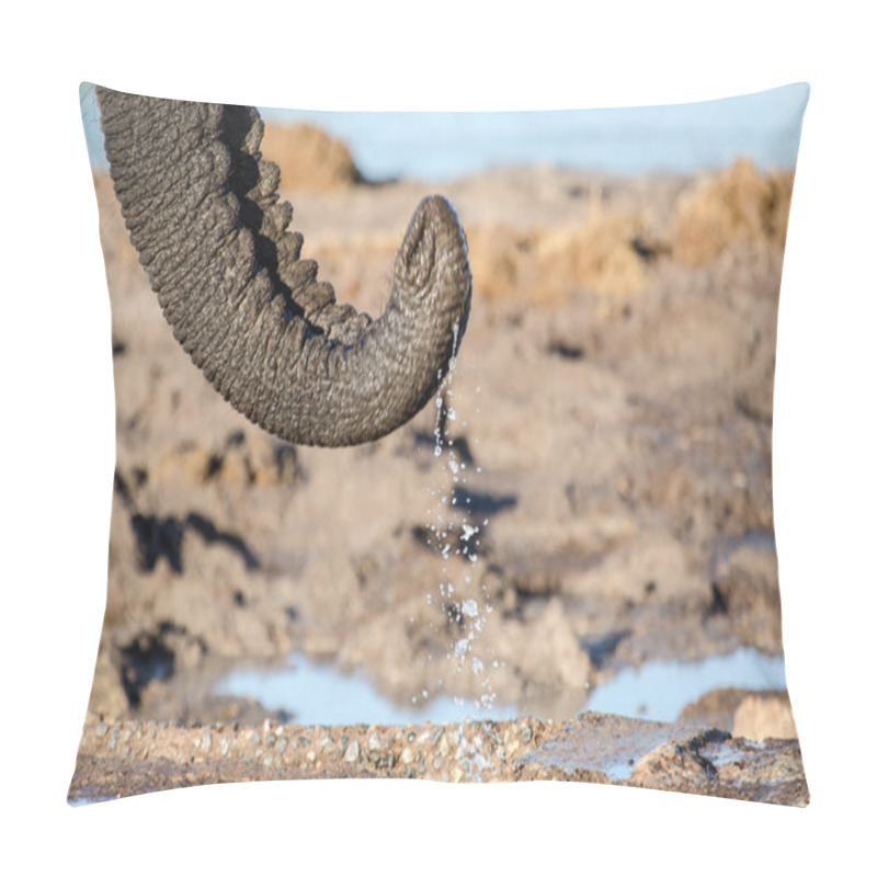 Personality  Elephant In Chobe National Park Pillow Covers