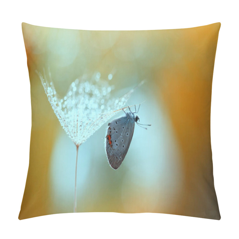 Personality  A small beautiful butterfly will collect pearls . pillow covers