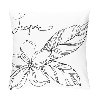 Personality  Palm Beach Tree Leaves Jungle Botanical Succulent. Black And White Engraved Ink Art. Isolated Leaf Illustration Element. Pillow Covers