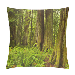 Personality  Lush Rainforest In Cathedral Grove, Vancouver Island, Canada Pillow Covers