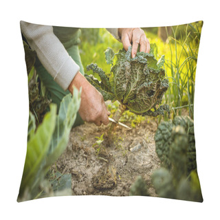 Personality  Senior Gardener Gardening In His Permaculture Garden  Pillow Covers