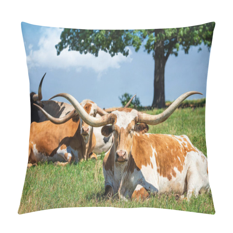 Personality  Texas longhorn cattle lying down in the spring pasture pillow covers