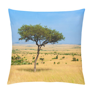 Personality  Landscape With Nobody Tree In Africa Pillow Covers