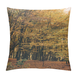 Personality  Yellow Leaves On Tree Branches In Forrest  Pillow Covers