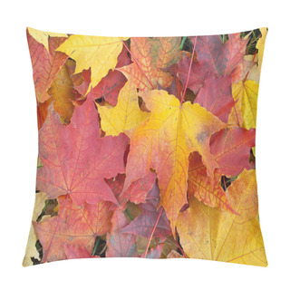 Personality  Fall Foliage Background Pillow Covers