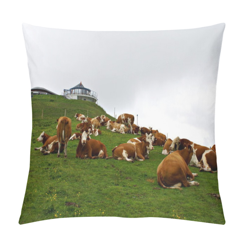 Personality  Austrian  Summer Landscape Pillow Covers