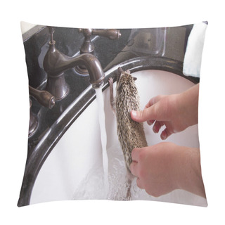 Personality  Giving A Pet Hedgehog A Bath In A Sink Pillow Covers