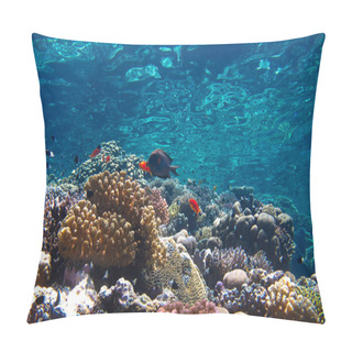 Personality  Underwater Photo Of Beautiful & Colorful Coral Reef With Tropical Fish. From A Scuba Dive In The Red Sea In Egypt. Pillow Covers