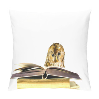 Personality  Owl At A Stack Of Books Pillow Covers