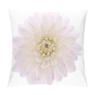 Personality  Dahlia Pillow Covers