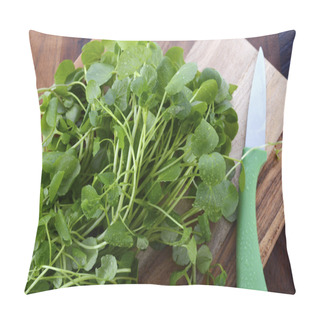 Personality  Watercress Salad Ingredient.  Pillow Covers