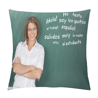 Personality  Spanish Class Pillow Covers