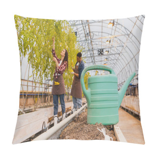 Personality  Watering Can On Ground Near Blurred Interracial Farmers In Greenhouse  Pillow Covers