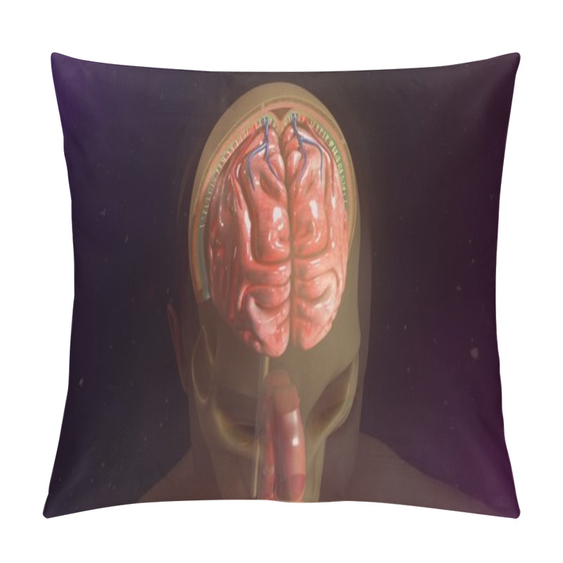 Personality  Human Brain Meninges Pillow Covers