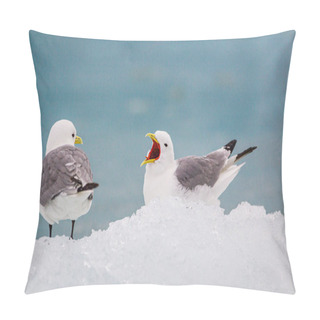 Personality  Kittiwakes Resting On The Floating Glacial Ice In The Arctic Ocean Pillow Covers