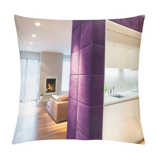 Personality  Interior In Modern Style Pillow Covers