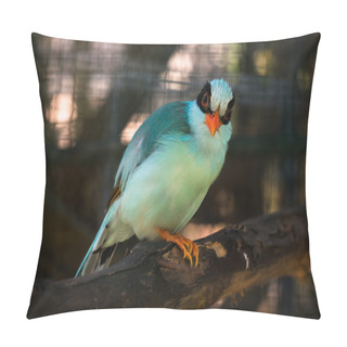 Personality  Indochinese Green Magpie Pillow Covers