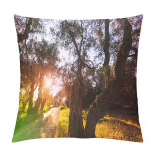 Personality  Summer Olives Garden Pillow Covers