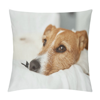 Personality  Dog Sleeping And Resting At The Bed. Pillow Covers