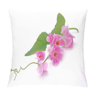 Personality  Mexican Creeper, Pink Mexican Creeper (Antigonon Leptopus) Isolated On White Background Pillow Covers