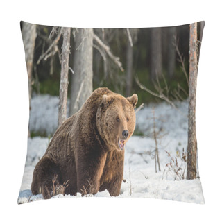 Personality Brown Bear On Snow-covered Swamp Pillow Covers