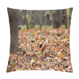 Personality  Red Fluffy Squirrel Hides Food In The Fallen Autumn Leaves Of The Park. Pillow Covers