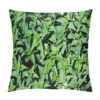 Personality  Dense Patch Of Green Stinging Nettle Plants With Elongated Pointed Leaves, Nettles Cover The Ground Substantially Pillow Covers