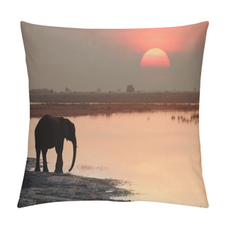 Personality  Drinking Elephants Pillow Covers