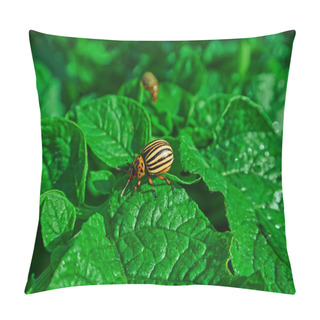 Personality  Colorado Beetle On Potato Pillow Covers