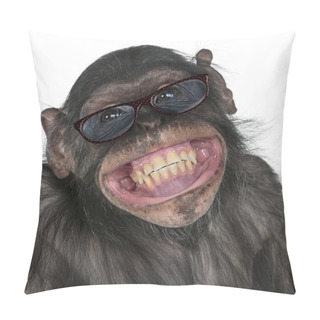 Personality  Close-up Of Mixed-Breed Monkey Between Chimpanzee And Bonobo Smi Pillow Covers
