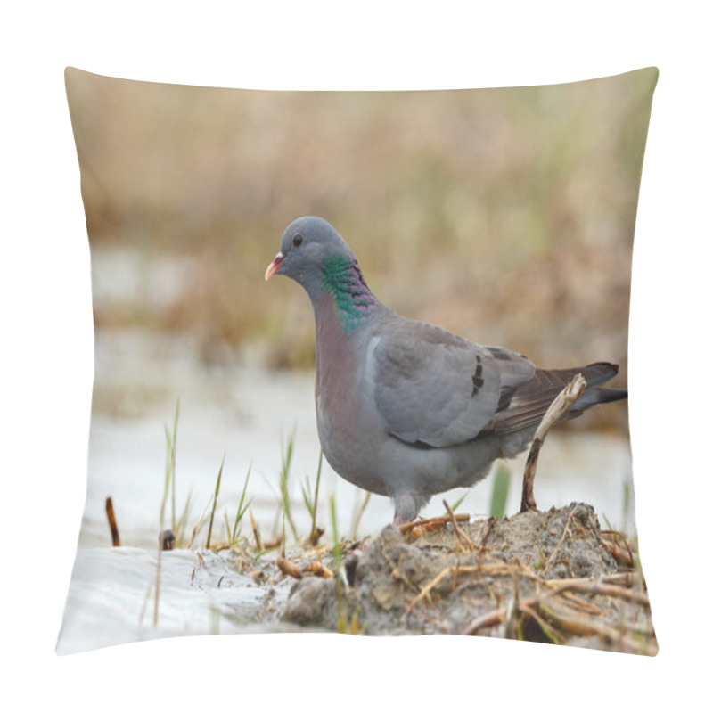 Personality  Wood Pigeon Bird  Pillow Covers