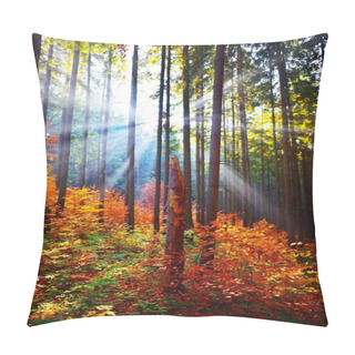 Personality  Warm Autumn Scenery In The Forest Pillow Covers